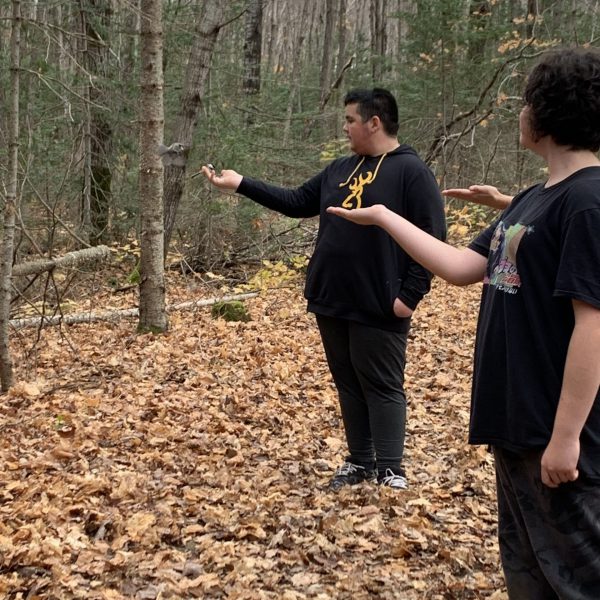 students waiting for birds to land