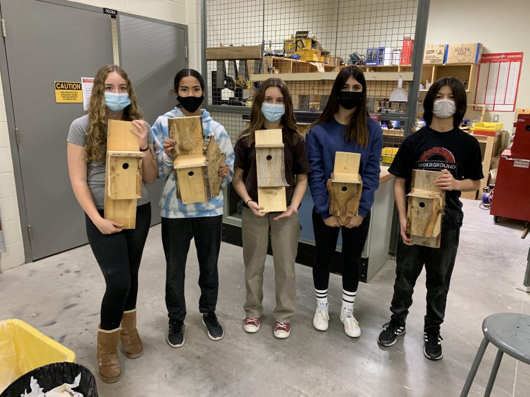 students with bird houses
