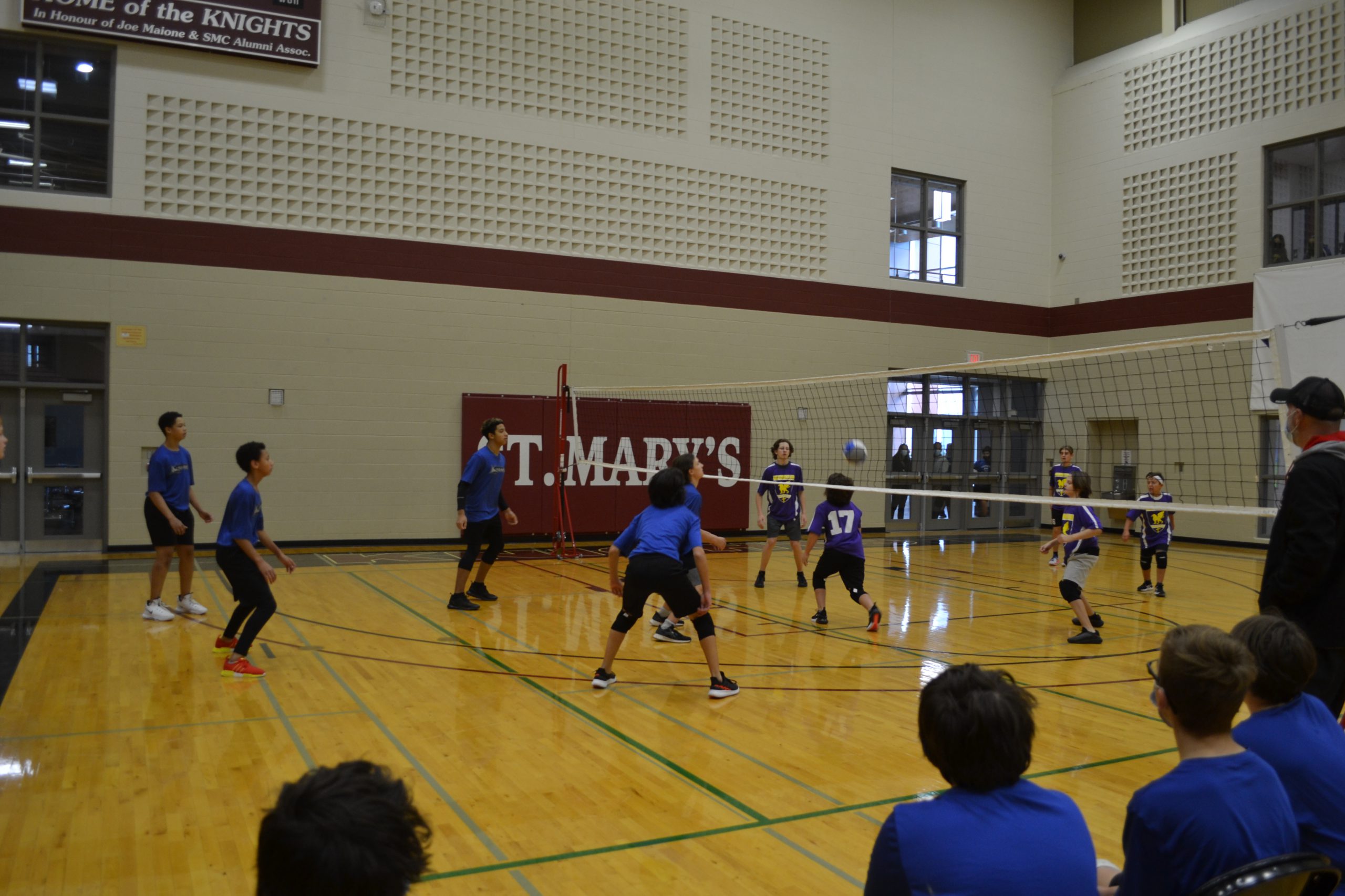 Griffins Triumphant