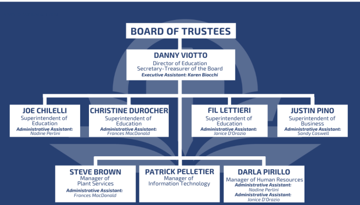 Senior Team Organization Chart