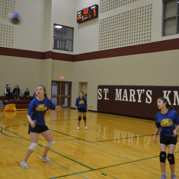 falcons girls team in action