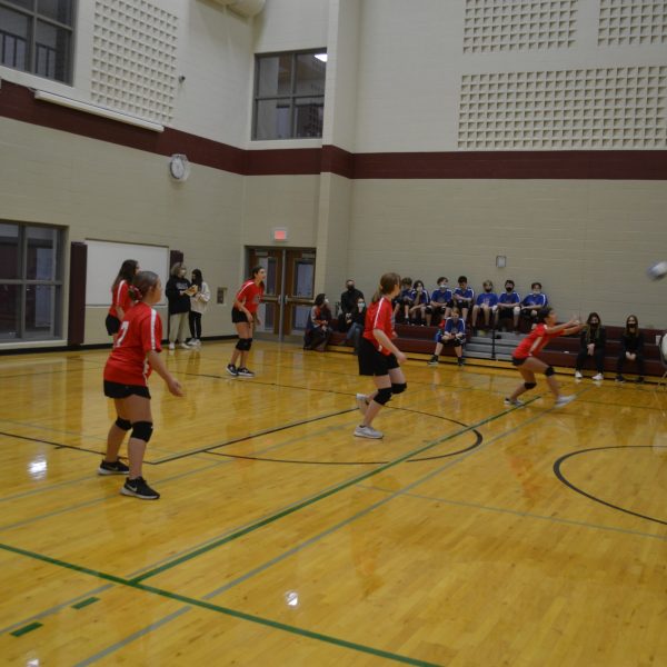 patriots girls team in action
