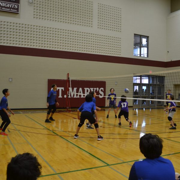 boys playing volleyball