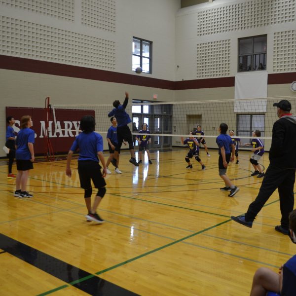 player spiking a volleyball