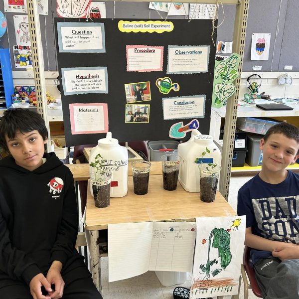 Two students sit at their science display