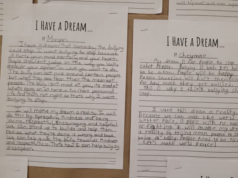 I Have a Dream student essays