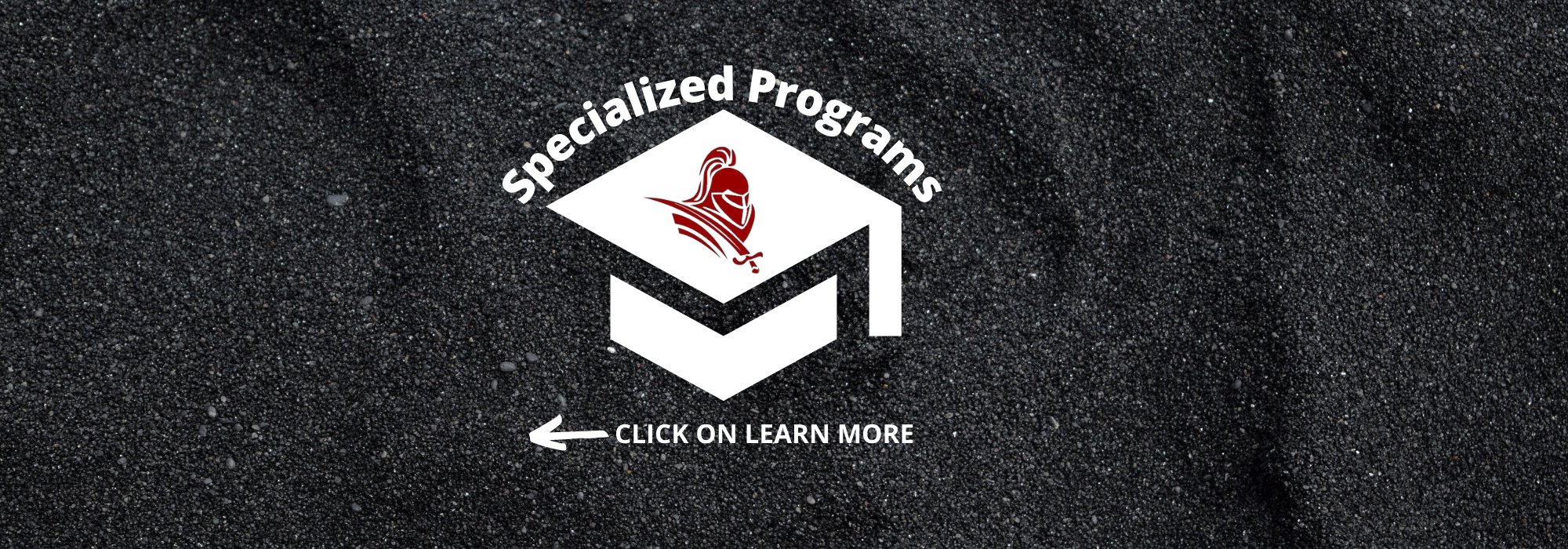 Specialized Programs