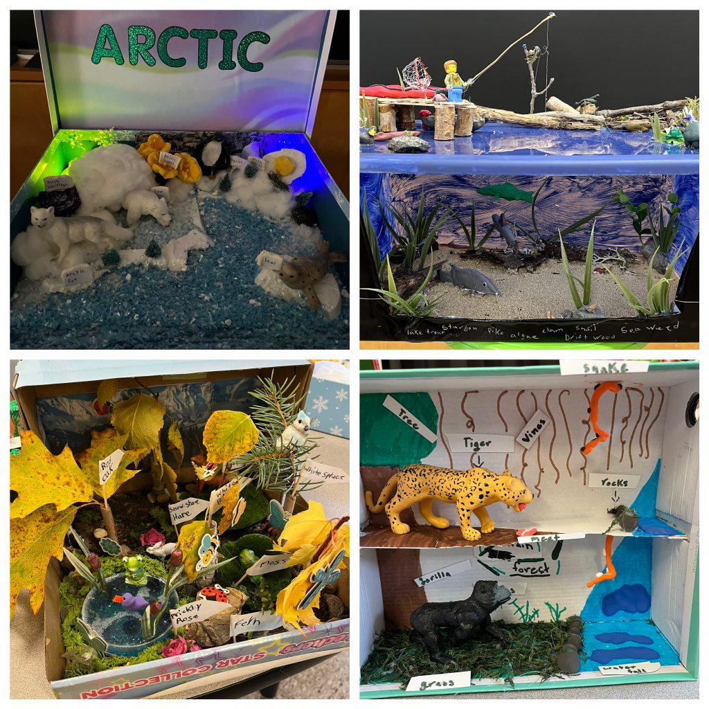 Collection of Habitat Dioramas