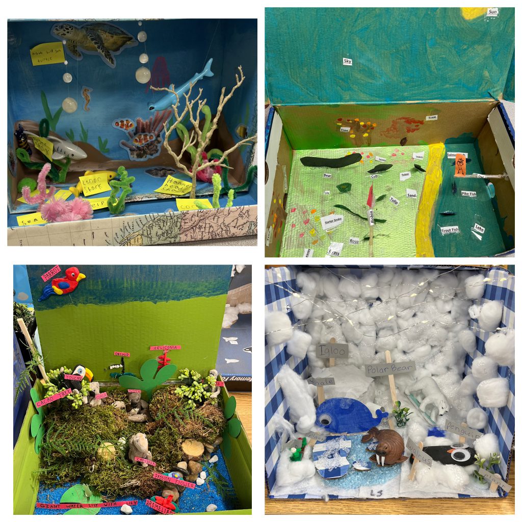 Four Different Habitat Dioramas