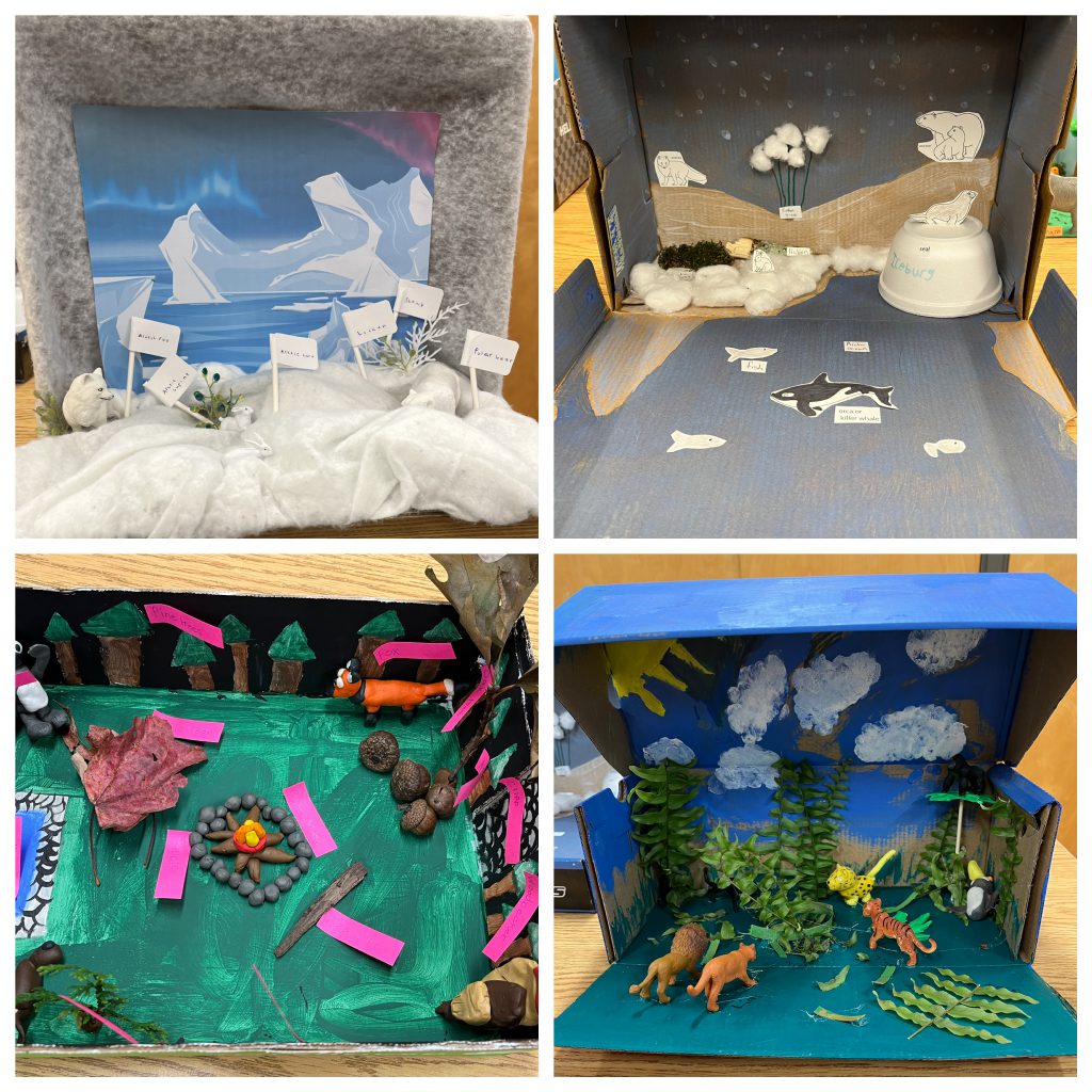 Four photos of habitat dioramas