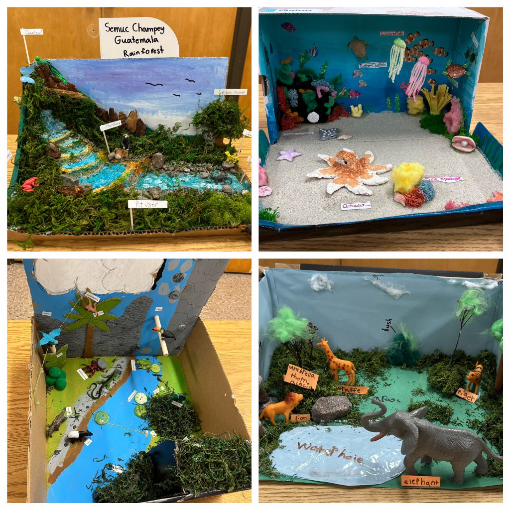 Habitat dioramas collage