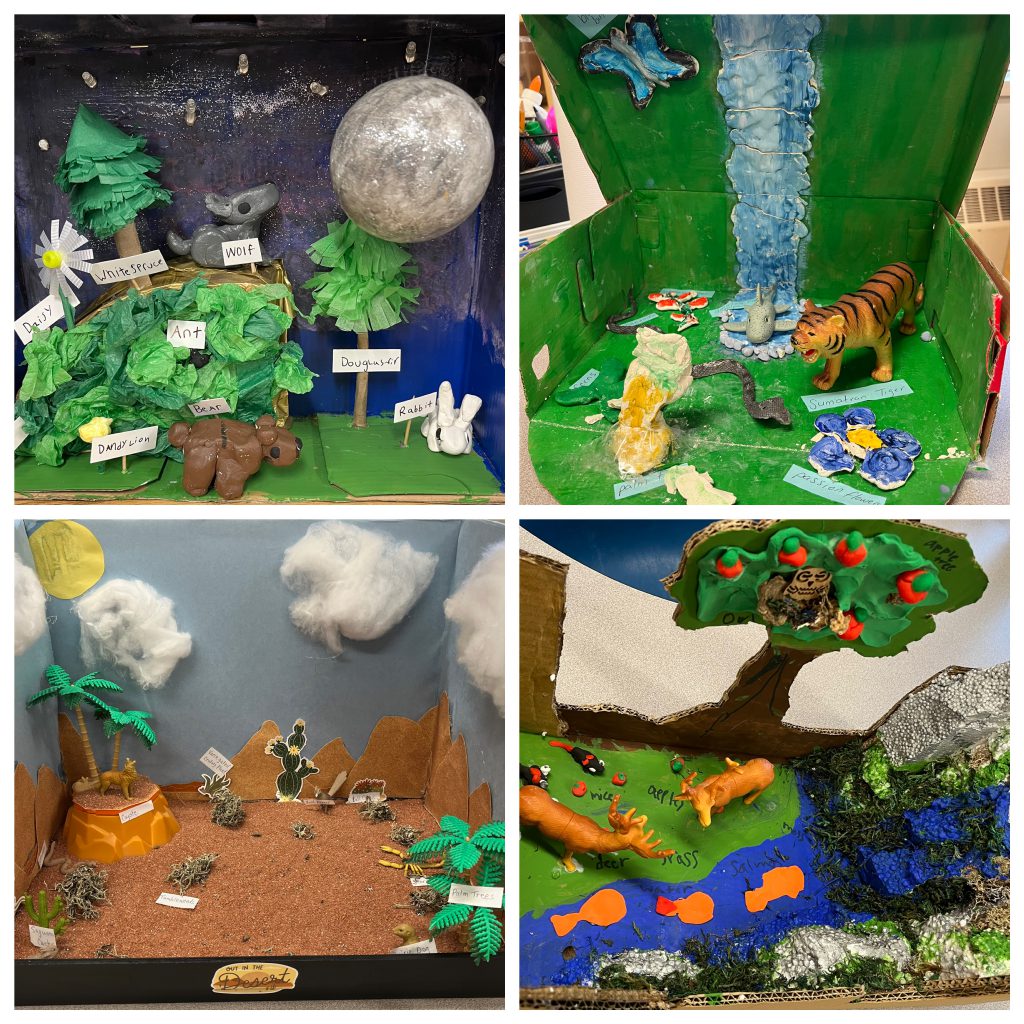 Various habitats shown in dioramas