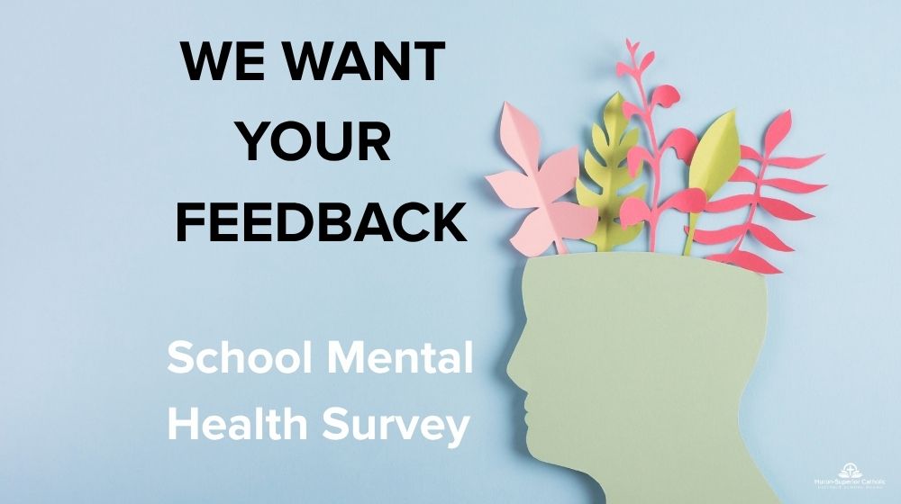 Help Shape Our Mental Health and Addictions Strategy